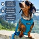 thumbnail image 2 of Arnés para perro DJANGO Adventure talla pequeña color azul Pacífico, 2 of 9