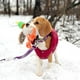 thumbnail image 2 of Cute Plush Duck Sound Toy Stuffed Squeaky Animal Squeak Dog Toy Cleaning Tooth Dog Chew Rope Toys, 2 of 4
