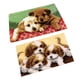 thumbnail image 5 of Juego De 2 Juegos De Ganchos Para Perros Con Herramienta Básica E Instrucciones Para Hacer Alfombras, 5 of 5