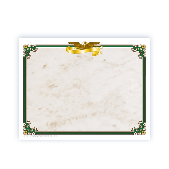 Border Paper Hayes Publishing Eagle, 21,6 x 27,9 cm, 50 unidades