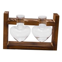 Bothyi - Jarrón Hidropónico, Macetero De Mesa, Jarrón De Cristal Para Estantería, Sala De Estar, Oficina, 2 Jarrones De Cristal