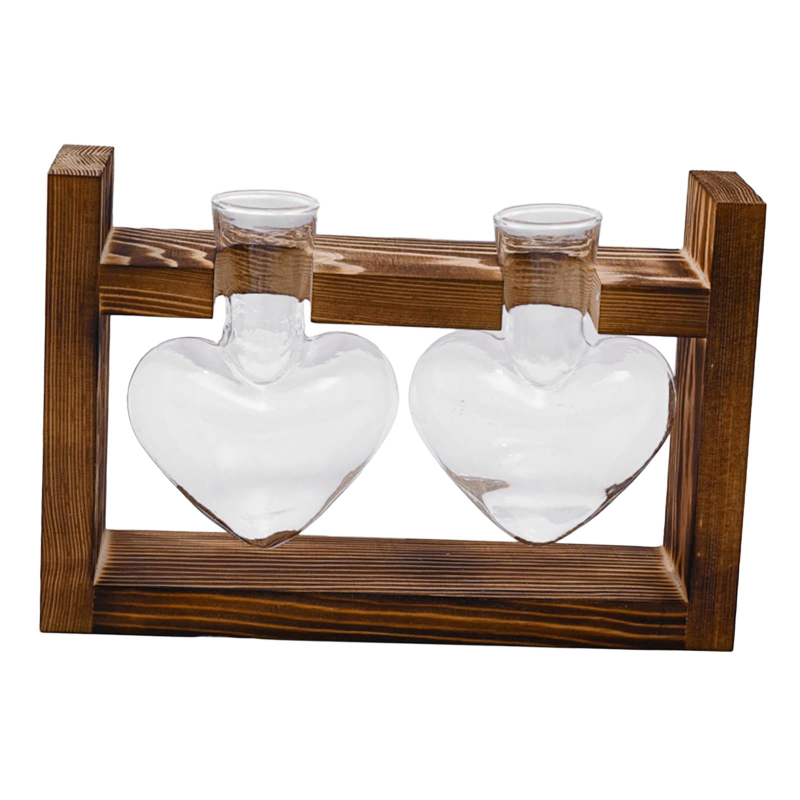 Bothyi - Jarrón Hidropónico, Macetero De Mesa, Jarrón De Cristal Para Estantería, Sala De Estar, Oficina, 2 Jarrones De Cristal