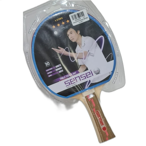 Paleta Ping Pong Entrenamiento 4* Mango Largo Pimpel In 13mm