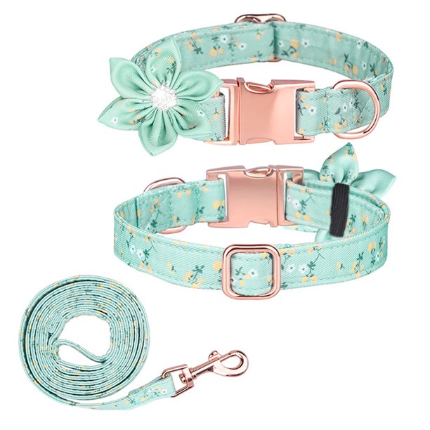 Collar y correa para perro ajustable con hebilla dorada fuerte, hermoso lazo y ribete floral.