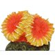 thumbnail image 3 of Decoración Acuario Komodo Coral Starburst 3.54 in Resina, 3 of 3