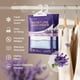 thumbnail image 2 of Bolsas absorbentes de humedad para armario y coche, paquete de 10, color lavanda, 2 of 7