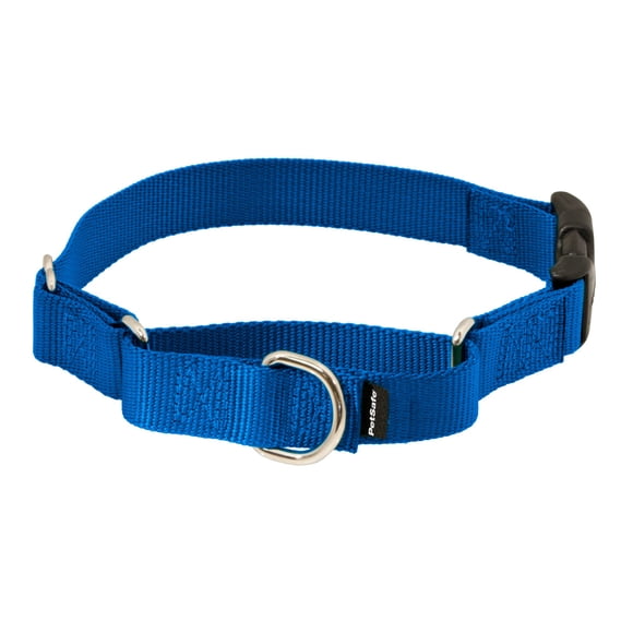 Collar Martingale PetSafe con hebilla Quick Snap, color azul real
