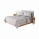 thumbnail image 3 of Sábanas Estampadas Blue Doral 200 Hilos 1.5 Plazas, 3 of 5