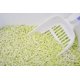 thumbnail image 2 of Arena para Gatos DRPETIA Tofu 2,5 kg Aroma a Limón Cremoso, 2 of 2
