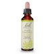 thumbnail image 1 of Esencia floral Bach Original de castaña blanca, 20 ml, vegana, 1 of 2
