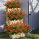 thumbnail image 3 of Flores artificiales Grunyia, eucalipto rojo, 10 paquetes, 3 of 7