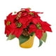 thumbnail image 3 of Planta De Navidad Artificial Poinsettia, Poinsettia Roja En Maceta Para Fiesta En Interiores, 3 of 5