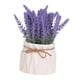 thumbnail image 4 of Juego De Jarrón Artificial Para El Hogar Con Planta En Maceta De Lavanda Para Comedor, Hotel, Cocina, Estilo B, 4 of 5