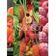 thumbnail image 1 of Libro Rizzoli – En temporada: Cocina con verduras y frutas, 1 of 1
