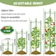 thumbnail image 2 of Tutor para tomates Legigo de 1,6 m, paquete de 4, estacas de soporte para plantas, 2 of 8