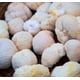 thumbnail image 2 of Melena de Leon 50 g, 2 of 2