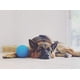 thumbnail image 3 of Pelota de fútbol Jolly Pets Dog Toy, tamaño mediano, azul océano, 15 cm, 3 of 5