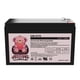 thumbnail image 3 of Batería SLA Charity Battery 12 V 7 Ah (2 unidades), 3 of 6