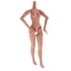 thumbnail image 2 of 19-articulaciones partes del cuerpo desnudas para 1/6 mu?eca neo blythe uso personalizado trigo, 2 of 5
