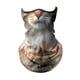 thumbnail image 5 of Bandana Mascarilla Transpirable Cara Cubierta Bufanda Verano Hielo Enfriamiento Cuello Polaina Gato, 5 of 5