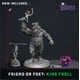 thumbnail image 2 of Miniaturas Héroes de Wildspire, Compañeros Animales NPC y Rey Troll, 2 of 8