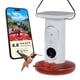 thumbnail image 1 of Comedero Smart Solar Pro Para Colibríes Con Cámara, 1 of 9