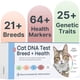 thumbnail image 1 of Kit ADN Gato Basepaws Razas Salud 64 Marcadores, 1 of 3