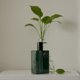 thumbnail image 2 of Alfa Romeo Green de Alfa Romeo, 4.2 Spray EDT para Hombre, 2 of 3