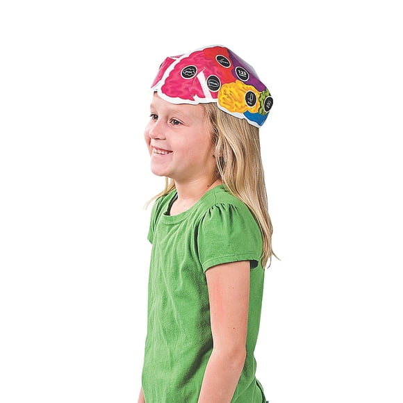 Teaching Aids Fun Express Brain Hats para la clase de ciencias (12 kits)