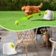 thumbnail image 3 of Lanzador automático de bolas ALL FOR PAWS para perros pequeños, 3 of 9