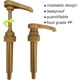 thumbnail image 3 of Set de bombas de sirope compatible con Torani, DaVinci y Skinny 750 ml, 3 of 7