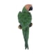 thumbnail image 3 of Loro realista resina animal ornamento animal colgando 31cm mirar derecho verde, 3 of 4