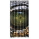 thumbnail image 1 of Cortina de ducha Dreamworld con ganchos (91 x 183 cm), 1 of 3