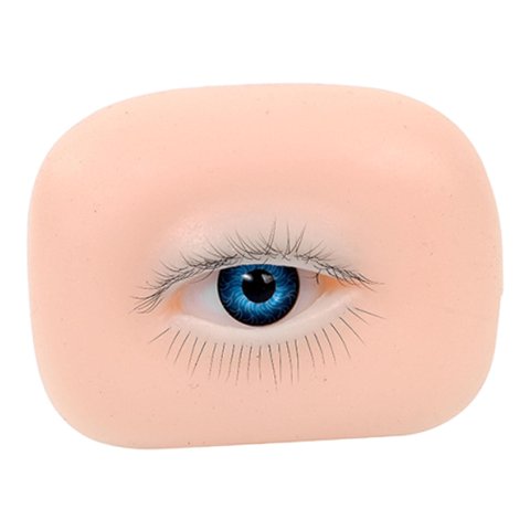 Ioensy - Modelo De Ojo De Silicona 5D, Herramienta De Práctica De Maquillaje De Silicona Para Principiantes, Esteticistas, Izquierda