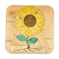 Magideal - Rompecabezas De Rompecabezas De Rompecabezas De Rompecabezas De Rompecabezas De Rompecabezas De Madera Para El Juguete Del Vástago Para Los Colores