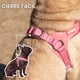 thumbnail image 5 of Arnés Petlounge Easy Glam Mascotas Perros Talla M rosa, 5 of 9