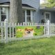 thumbnail image 4 of Shiba Inu Fondo Temático Pancarta Suministros de Decoración para Fiesta de Cumpleaños, Decoración de Fondo de Fiesta Personalizado,150x90cm, 4 of 6