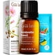 thumbnail image 1 of Aceite esencial Gya Labs Ambrette Seed 10 ml para cabello y piel, 1 of 6