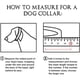 thumbnail image 4 of Collar de cuero para gatos de 2 piezas, el collar para mascotas es adecuado para gatos y perros., 4 of 5
