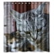 thumbnail image 1 of Cortina de ducha de gato enojado, juego de cortina de baño con ganchos, tamaño 66 x 72 pulgadas, 1 of 3