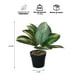thumbnail image 3 of Planta Artificial Calathea 23x9 cm, 3 of 3