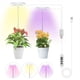 thumbnail image 1 of 1 Set, Plant Grow Light, Full Spectrum LED Grow Lights For Indoor Plant, 3 Colors Halo Grow Lights, Height Adjustable Growing Lamp, Automatic Timer, Waterproof Grow Light, Idea For Small Plant Light, 1 of 2