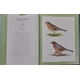 thumbnail image 2 of Chronicle Books - Canciones de Aves: 250 especies de América del Norte, 2 of 4