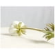 thumbnail image 3 of piezas de ramo de anémona artificial de poliuretano de tacto real para decoración del hogar (blanco), 3 of 8