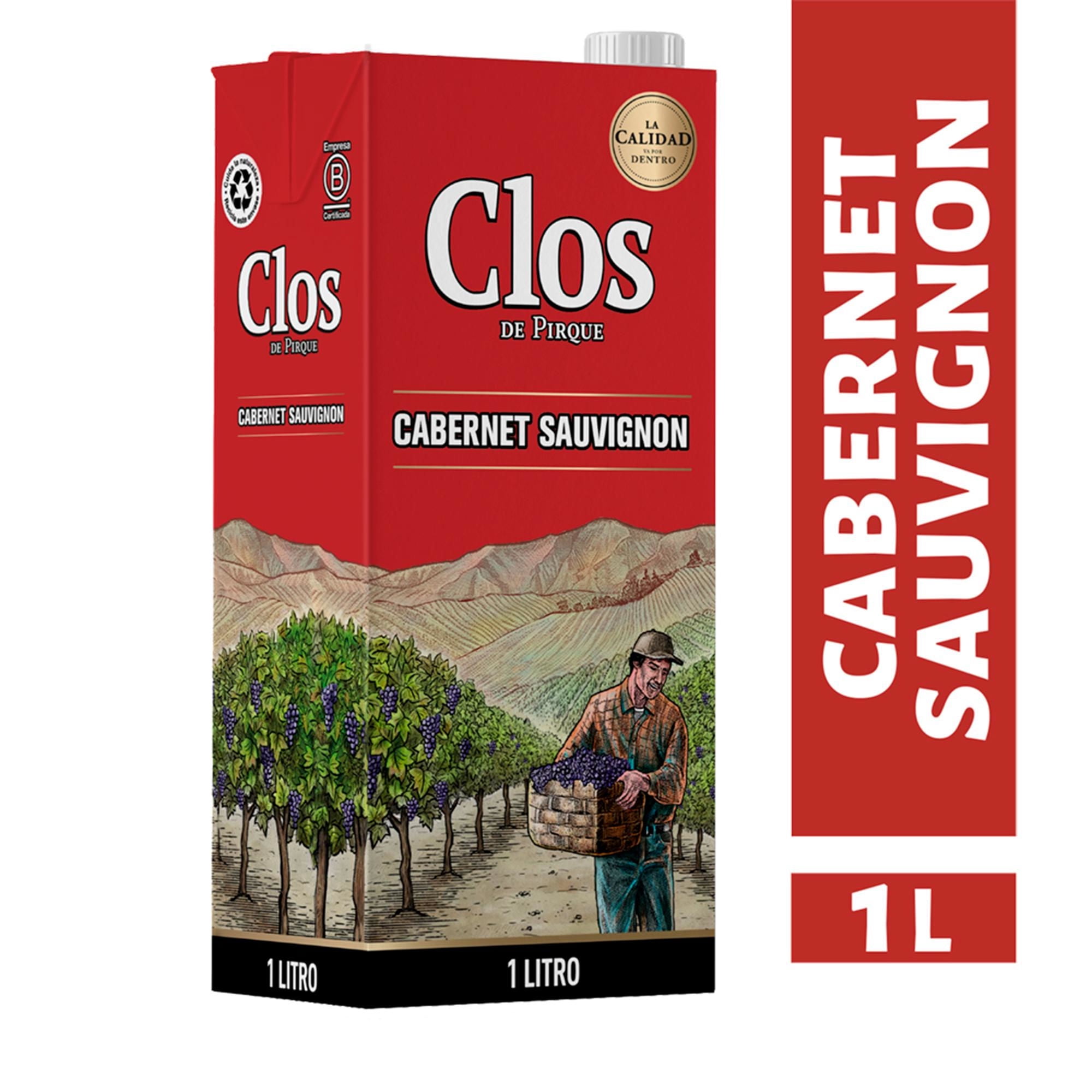 Vino Tinto Cabernet Sauvignon 12° Caja 1L Clos de Pirque