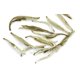thumbnail image 2 of Té Jasmine Silver Needle 43 gr, 2 of 2