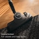 thumbnail image 4 of Aspirador con cartucho Miele Classic C1 Pure Suction, 4 of 8