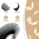 thumbnail image 2 of Extensiones De Pestañas Ellipse Flat 0 15 Mm Curva D 8 15 Mm, 2 of 8
