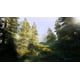 thumbnail image 3 of Videojuego Hunting Simulator 2 Para Nintendo Switch, 3 of 8