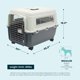 thumbnail image 3 of SportPet Airline Compliant Medium 26.5 Travel Dog Kennel, 3 of 3